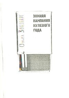 Зимняя кампания нулевого года