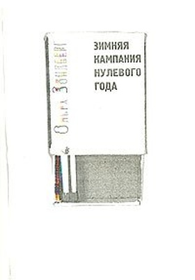 Зимняя кампания нулевого года