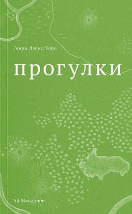 Прогулки