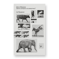 Зачем смотреть на животных?