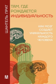 Там, где рождается индивидуальность. Как мозг создаёт уникальность каждого человека