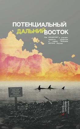 Потенциальный Дальний Восток. Как расцветают и угасают проекты развития в самом большом регионе России  