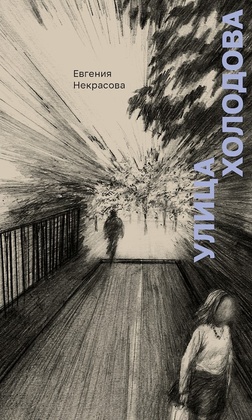 Улица Холодова